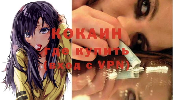 стаф Надым