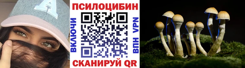 Галлюциногенные грибы Psilocybine cubensis  где найти наркотики  Тетюши 